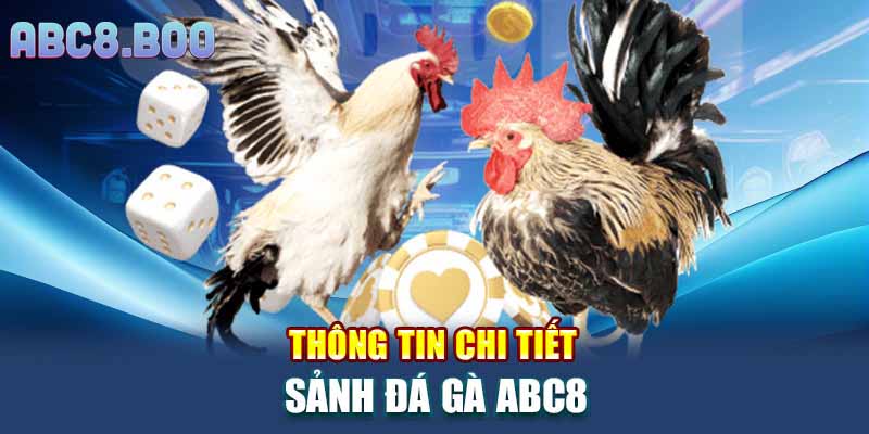 Thông tin chi tiết sảnh đá gà ABC8