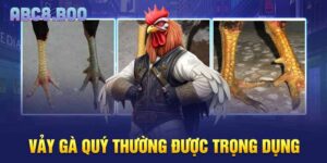 Vảy gà quý thường được trọng dụng